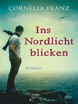 cover image of Ins Nordlicht blicken